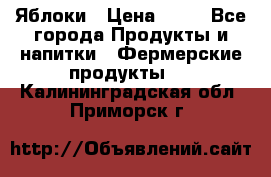 Яблоки › Цена ­ 28 - Все города Продукты и напитки » Фермерские продукты   . Калининградская обл.,Приморск г.